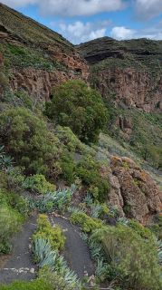 GC-Caldera de Bandama 2026-032.jpg